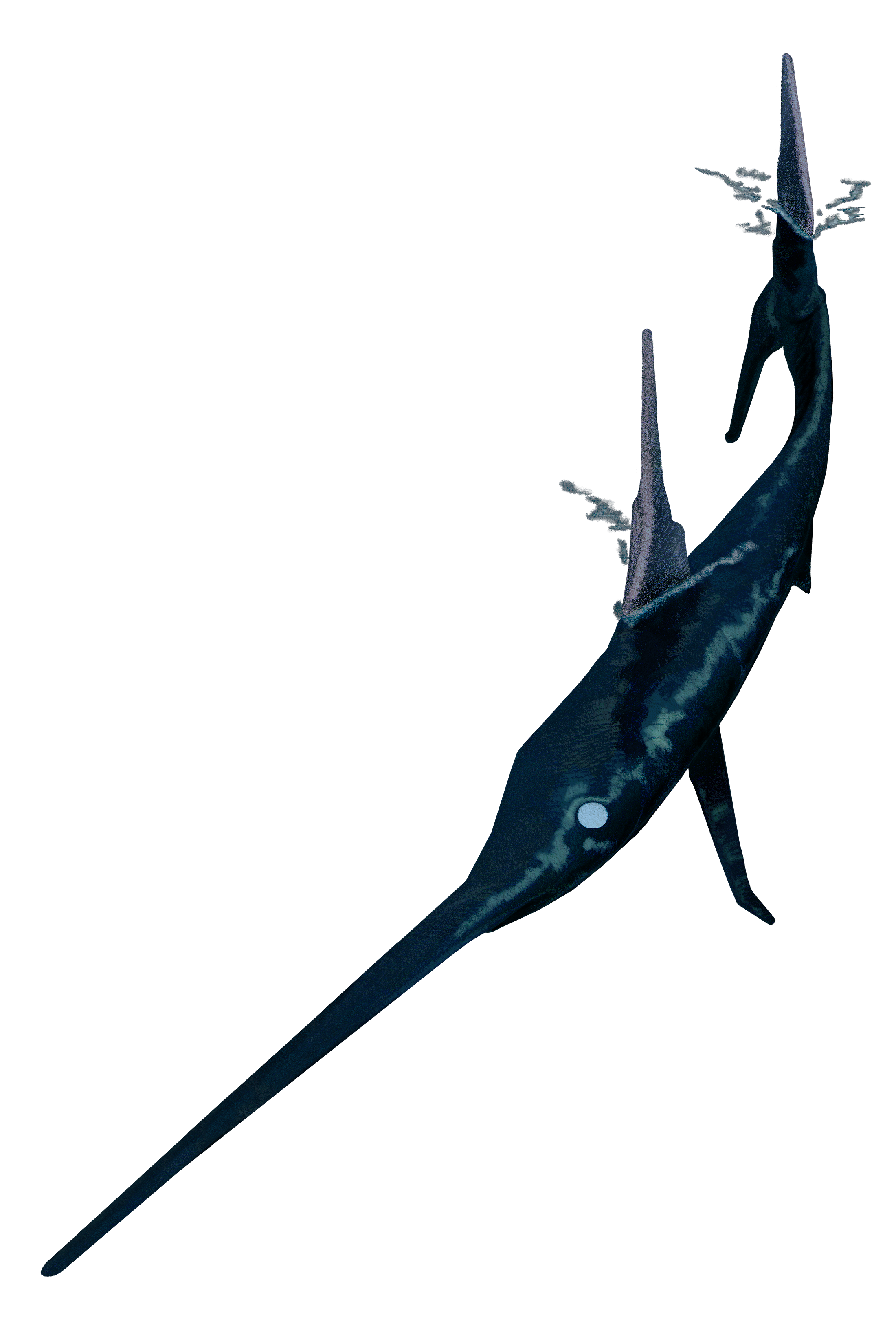 logo_swordfish_1